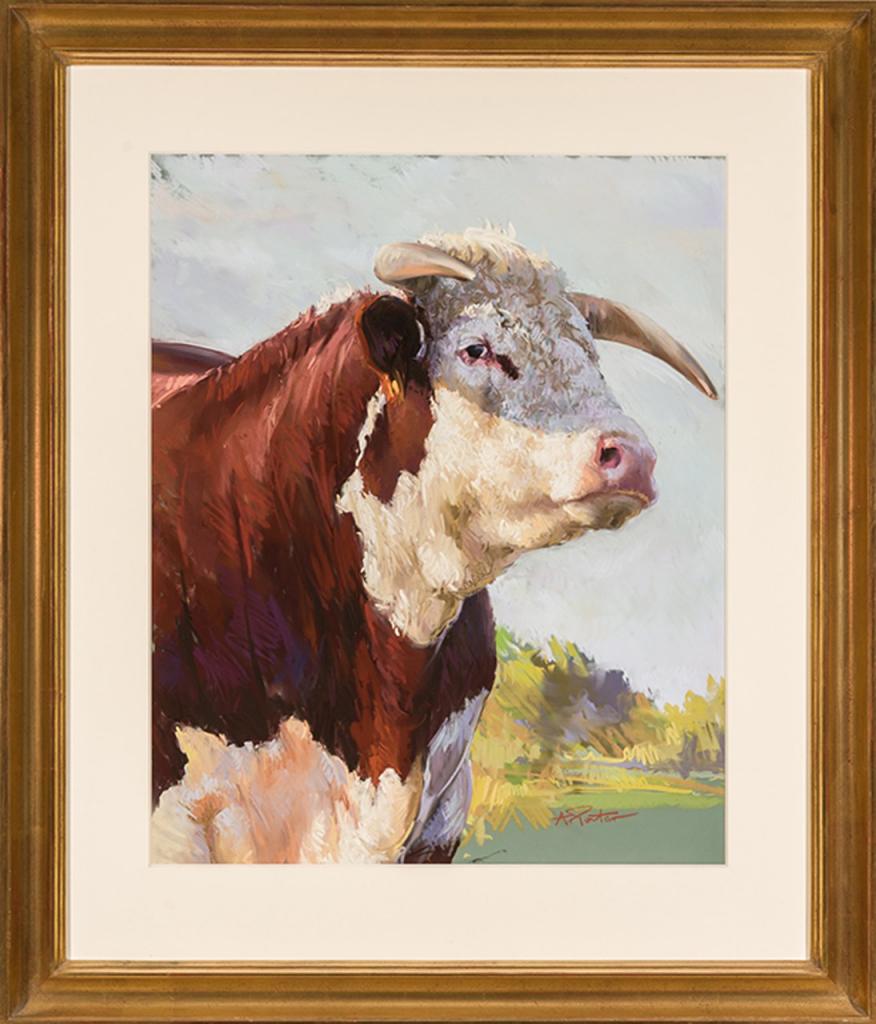 Bull, by Andre Pater (Courtesy of Cross Gate Gallery)